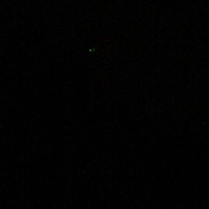 Meet your Posher, Warren